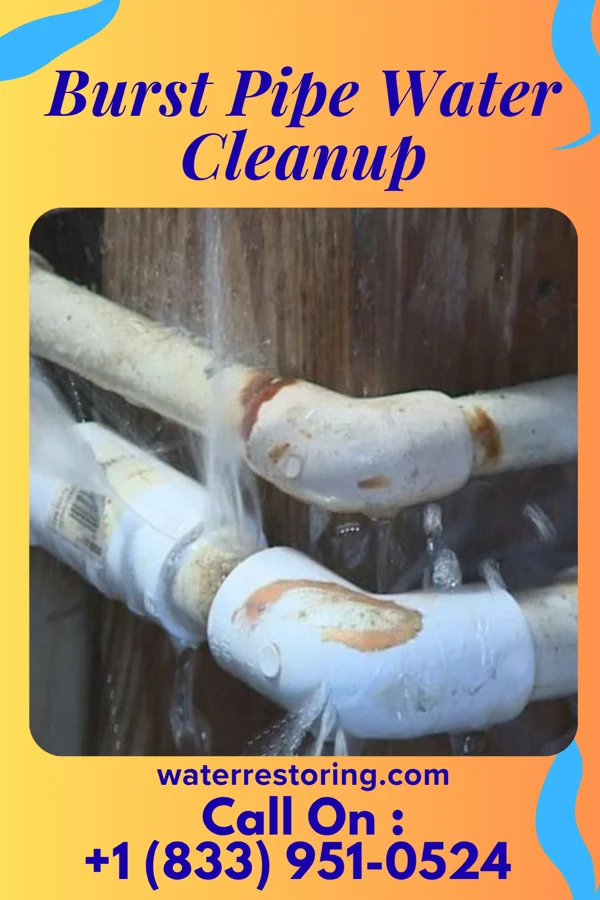 Burst Pipe Water Cleanup in Tamaqua, PA