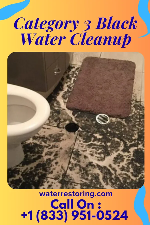 Category 3 Black Water Cleanup in Tamaqua, PA