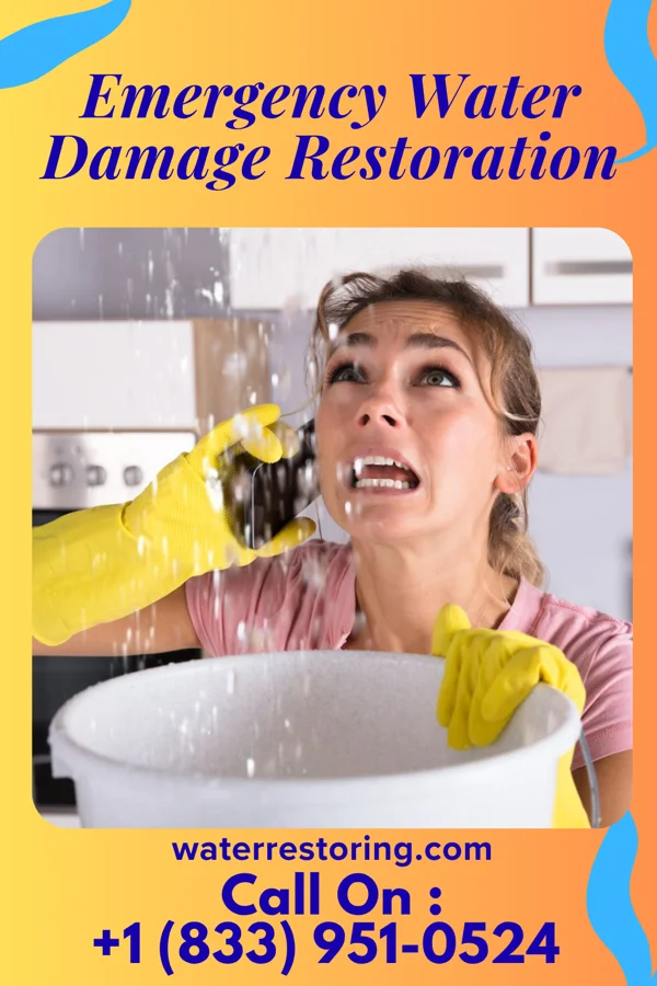 Emergency Water Damage Restoration in Tamaqua, PA